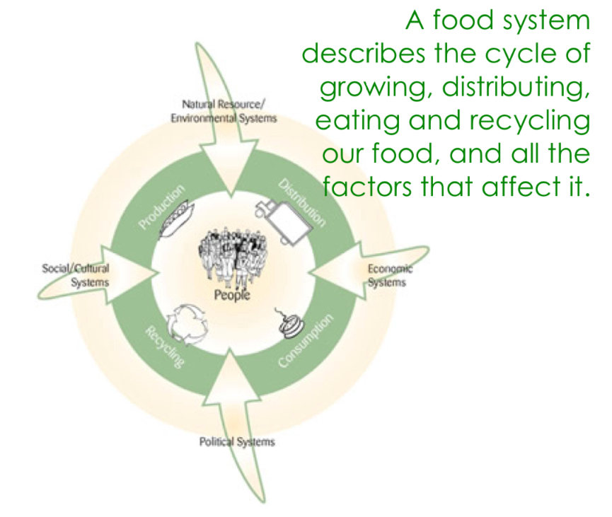 local food system
