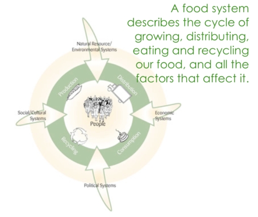 food-system-image3